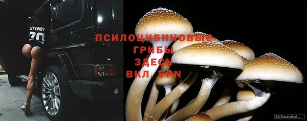 мяу мяу мука Белокуриха