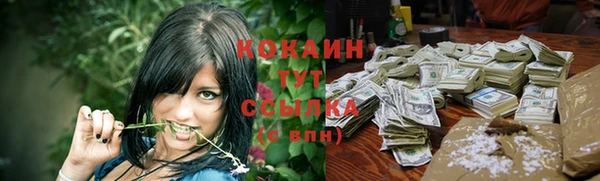 мяу мяу мука Белокуриха